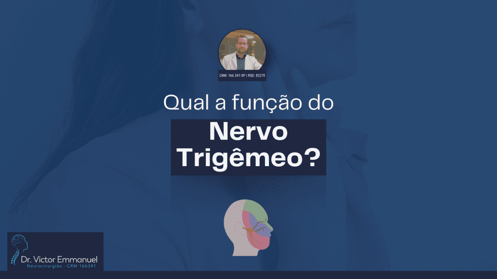 Nervo trigêmeo - qual a sua função?